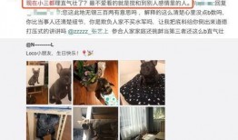 黑料头条.爆炸瓜视频,爆炸瓜视频背后的惊人真相